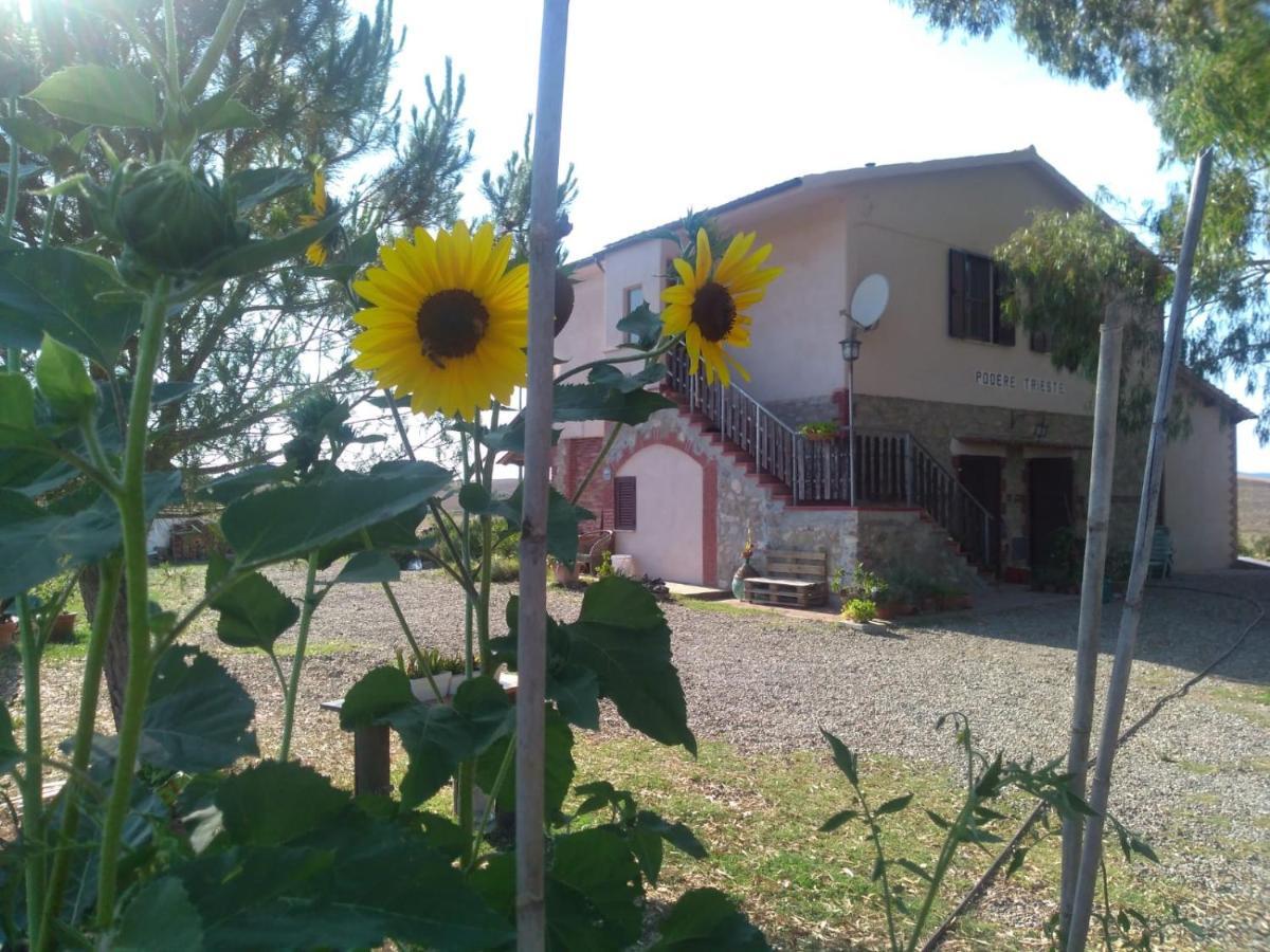 Enjoy Sunset Villa Colle Massari Luaran gambar